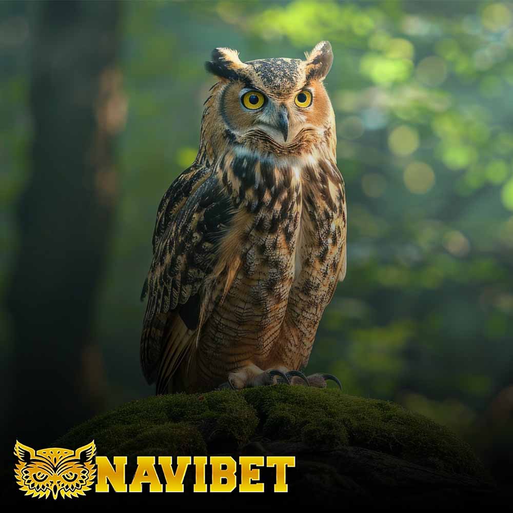 Banner navibet