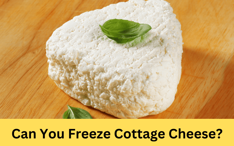 can you freeze cottage cheese