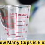 how many cups is 6 oz