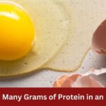 how many gram of protein in an egg