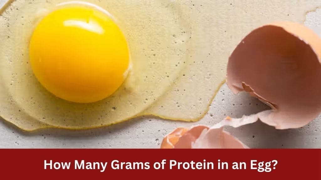 how many gram of protein in an egg