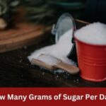 how many gram of sugar per day